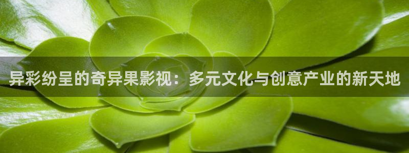 天狼影视剧网