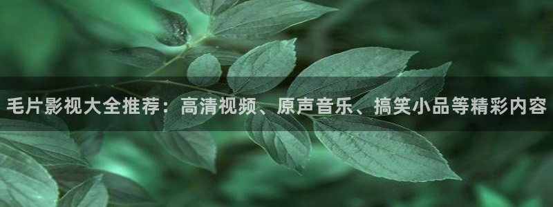 天狼影院2025最新电视剧在线观看影视