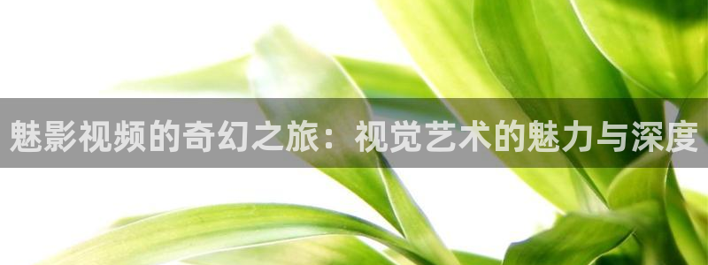 2021天狼影院