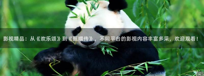 天狼影视剧免费观看全集