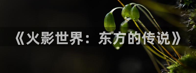 天狼影院手机免费观看