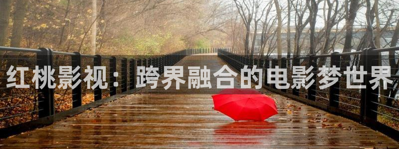 天狼影院2017