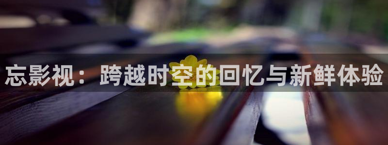 新天狼影视